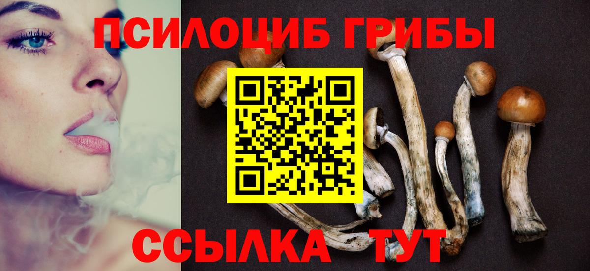 Псилоцибиновые грибы Magic Shrooms Мурманск