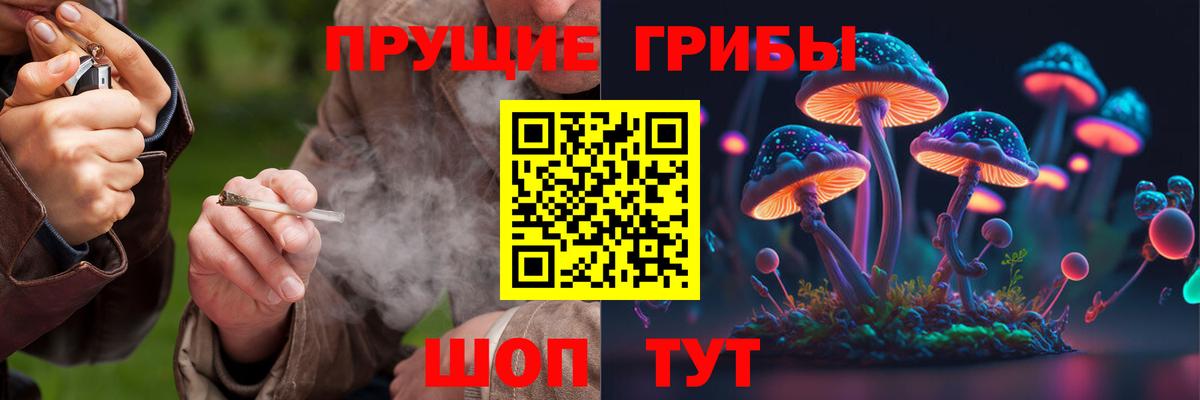 Галлюциногенные грибы ЛСД  Вход с VPN  Мурманск  Псилоцибиновые грибы Psilocybe 